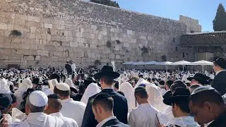 Traditional priestly blessing (birkat kohanim) in Sukkot at the Western Wall in Jerusalem. 2024