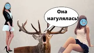 Почему девушкам нравятся плохие парни