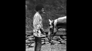 Rockdog Jimi Hendrix "Hey Joe" Bible Study