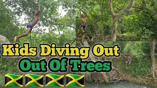 Jamaica Vlog 🇯🇲 - River In Jamaica - Kids Diving Out Of Trees