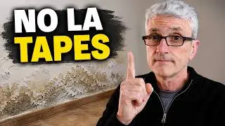 💪 Cómo Quitar la HUMEDAD de la Pared | 3 SOLUCIONES a la Humedad por Capilaridad | El ÚLTIMO 💣💣