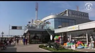 Harbor Bar
