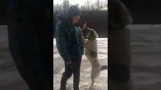 Влог #2