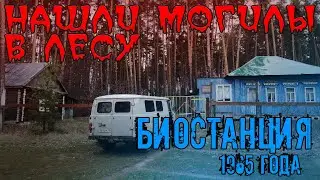 МОГИЛЫ в лесу! БИОЛОГИЧЕСКАЯ СТАНЦИЯ 1965 года #Лес