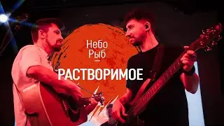 Небо Рыб - Растворимое