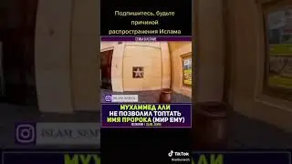 Честь и похвала