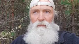 Мухомор, ау, ты где?