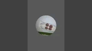bloons