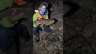 Неожиданный трофей😲 Еле вытащил🙂 #рыбалка #fishing #спиннинг #интересное #рекомендации #топ #реки