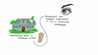 Видеоскрайбинг  Инфообраз