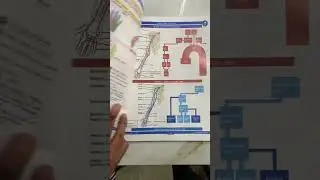 Complete Upper limb anatomy and Lower limb anatomy with Johari mbbs