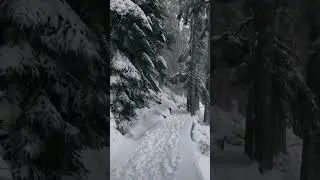 Snowfall #snowfall #shorts