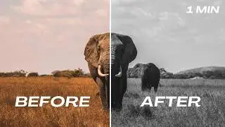 How to Make a Clip Black and White in DaVinci Resolve