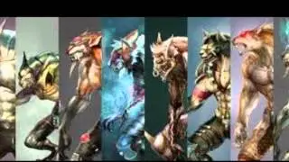 Get wolf