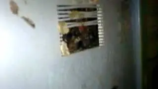 Брат гуфа в лифте