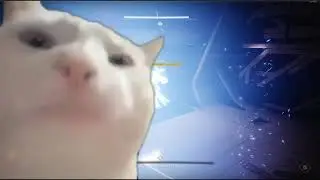 Cat vibing to Atraks-1