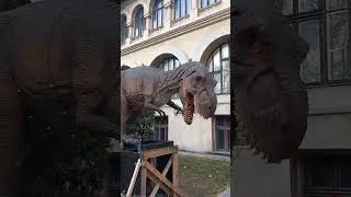 А вот вам новогодние динозавры. #динозавр