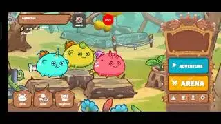 AXIE INFINITY UPDATE | PAANO MANALO SA ARENA BUG AQUA PLANT LINE UP