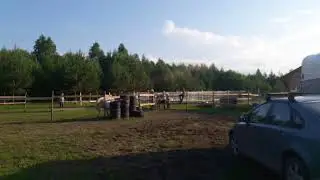 Частная конюшня в деревне Соболево приняла нас очень дружелюбно