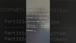 How to solve Diskpart Can't delete a partition without the force protected parameter set error