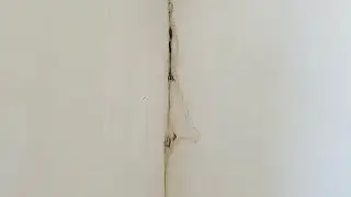 Трещины в штукатурке! Как исправить?