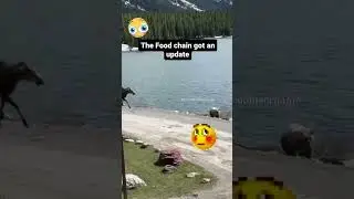 memes from internet