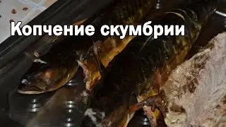Копчение скумбрии