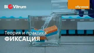 Fixation of samples in formalin: how?