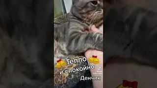 #cat