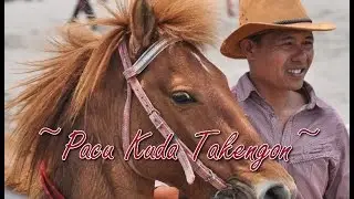 Pacu Kuda Takengon