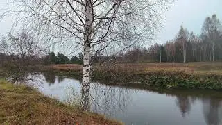 Река Уводь. ч.7. Октябрь 2024