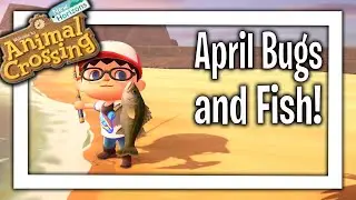New BUGS and FISH in Animal Crossing New Horizons: April 2020 update!