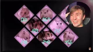 Хомяки играют в ИГРУ КАЛЬМАРА- РЕАКЦИЯ!!! Кто победит?