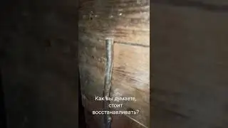 Что со старой землянкой в лесу.