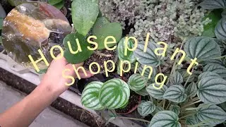 August Plant Tour w/ catfish show