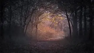 Follow Me - I'll show you the way - Jimmy Fontanez - Electronic Music