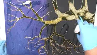 Ночь. Создание картины поэтапно.