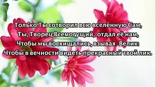 Как чудесно с Тобой. Елена Ваймер
