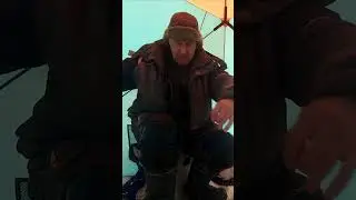 Ёрш пополам