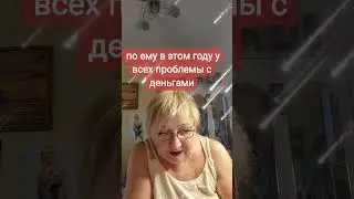 24 августа 2024 г.