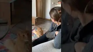 Cat and owner playing Squid game 