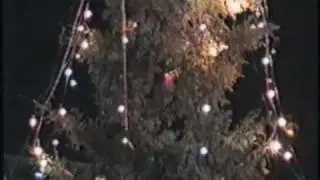 1998 г. Новый год.Усинск.Елка на месте памятника воинам.