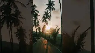 Parra Road Goa #minivlog #goa #parraroad