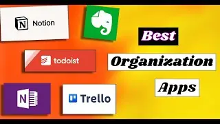 Best Organization Apps in 2024