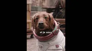 Rocket with Cosmo, a telekinetic dog (French version) / Guardians of the Galaxy Happy Holidays 20...