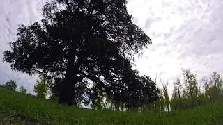 Movements | FPVFreestyle | TBS Source One