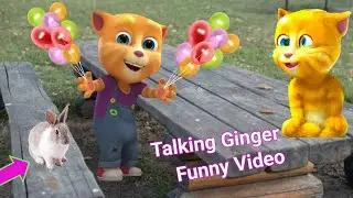 My Talking Ginger Funny Videos 😂😂|| my talking ginger || talking tom ||