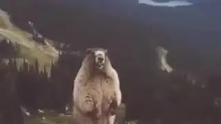 Новая связь в Донецке😂