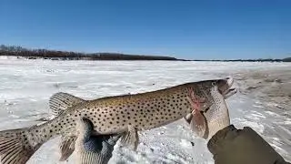 For the dead of winter, this is a very good result!