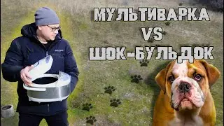 💥ГОВОРЯЩАЯ МУЛЬТИВАРКА VS ПЕТАРД